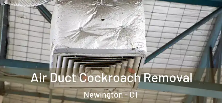  Air Duct Cockroach Removal Newington - CT