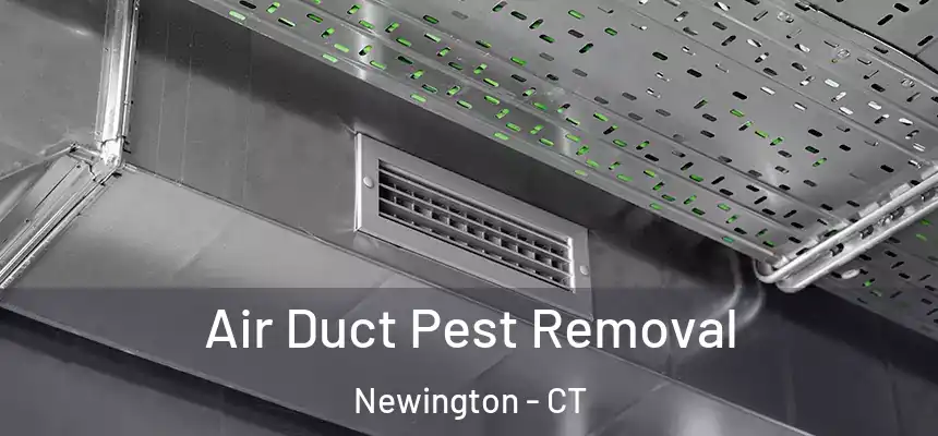 Air Duct Pest Removal Newington - CT