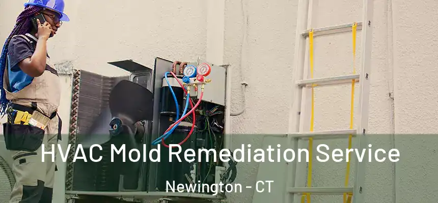  HVAC Mold Remediation Service Newington - CT