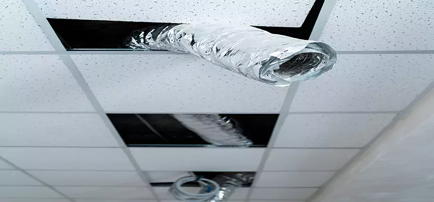 Affordable HVAC Sanitizing After Pest Removal in Newington