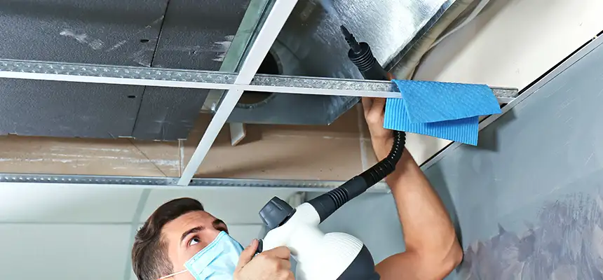 Our Air Duct Rodent Removal Services in Newington, CT