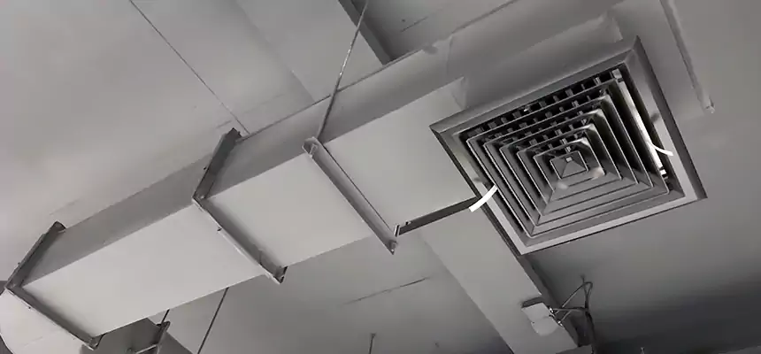 Our Pest Removal From Ducts Services in Newington, CT