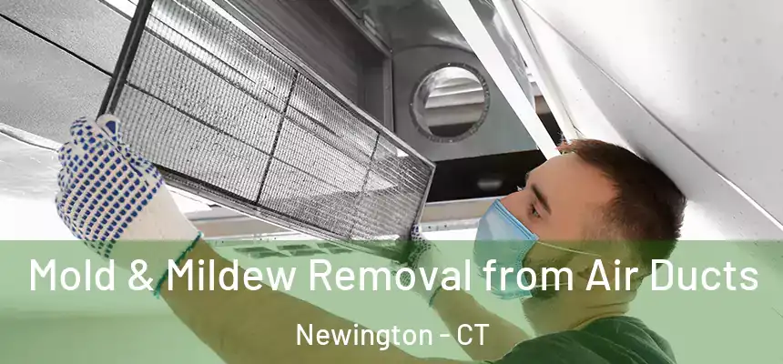 Mold & Mildew Removal from Air Ducts Newington - CT