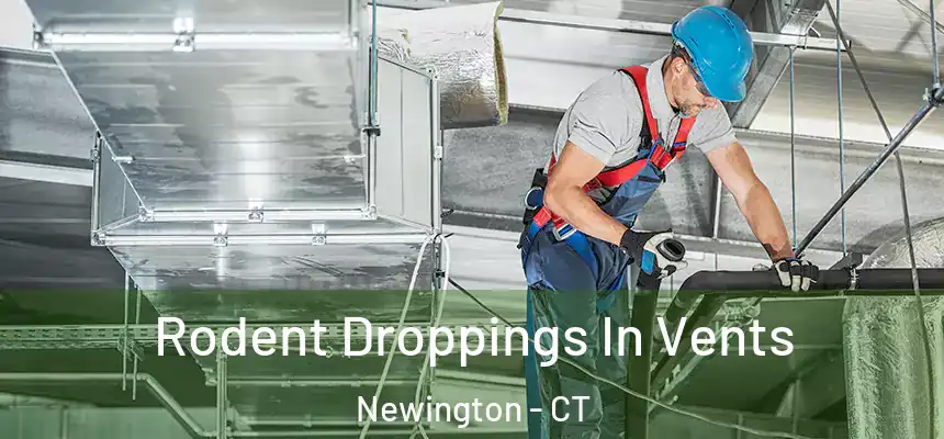 Rodent Droppings In Vents Newington - CT