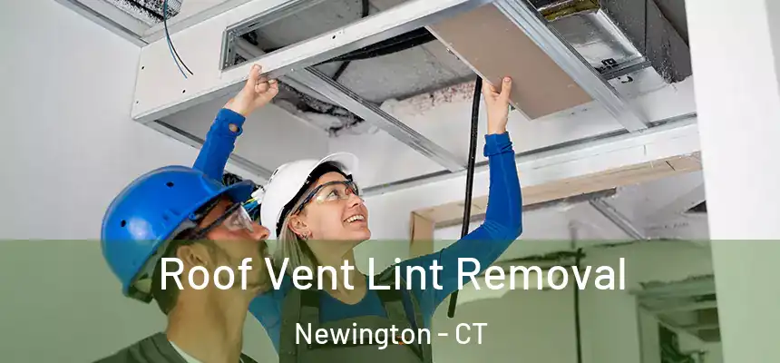 Roof Vent Lint Removal Newington - CT