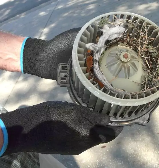 About Air Duct Mice Removal in Newington, CT