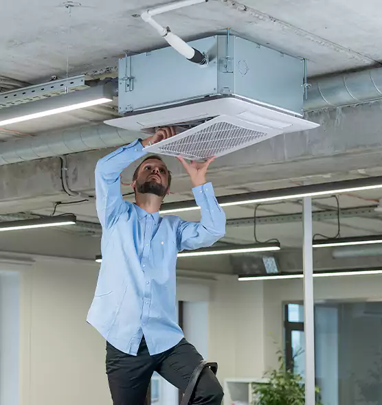 Advanced Rodent Droppings In Vents in Newington, CT