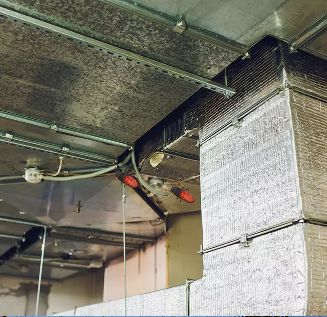 Why Homeowners & Businesses Trust Us in Newington, CT?