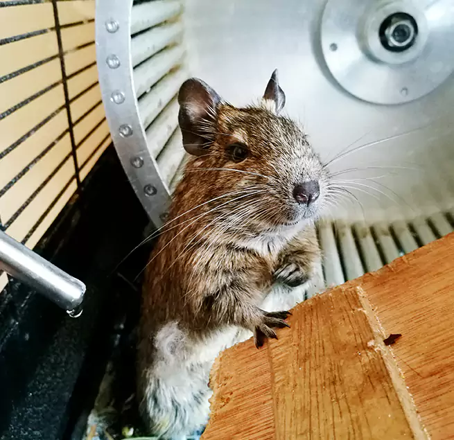 Why Homeowners & Businesses Trust Us Newington, CT